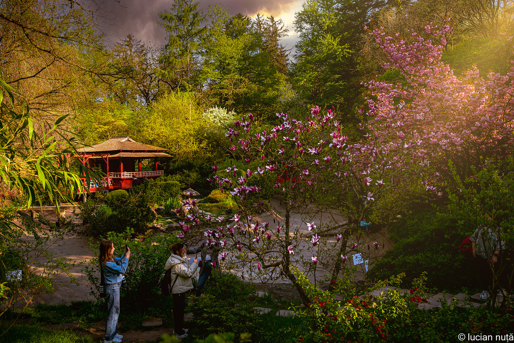 Grădina Botanică Alexandru Borza