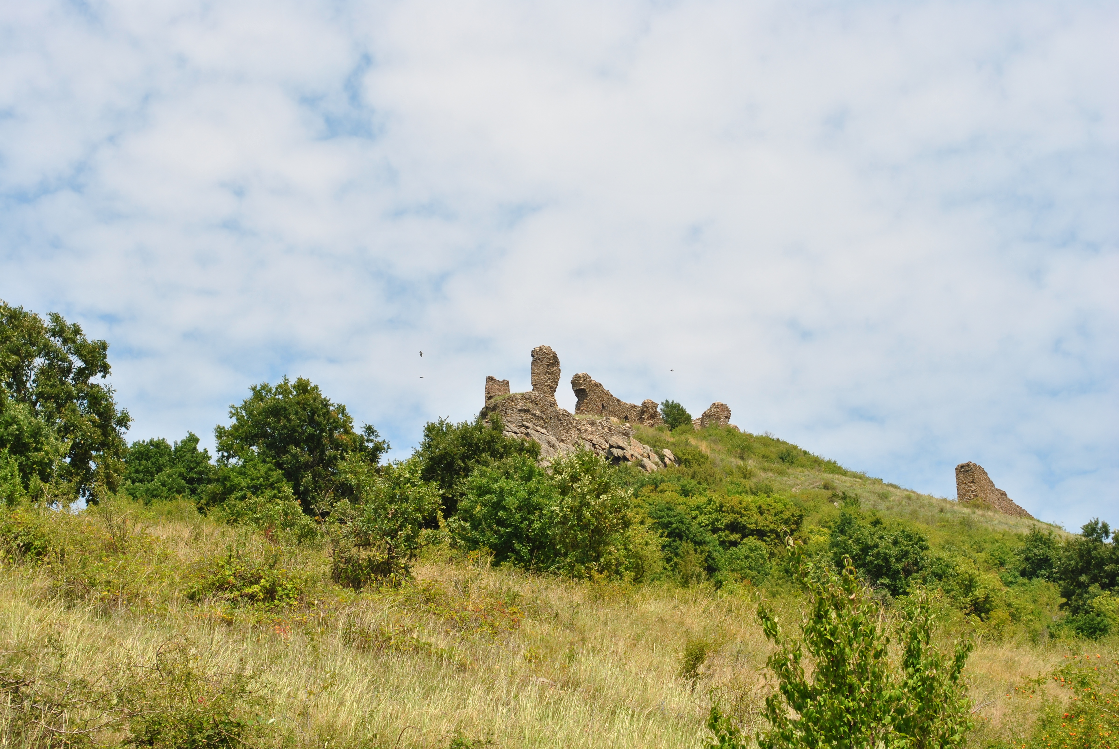 Cetatea Șiria